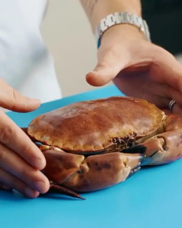 #11 Cooking & Preparing Crab Salad