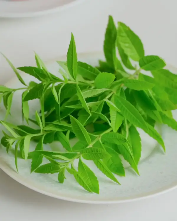 #12 Introduction to Fresh Herbs