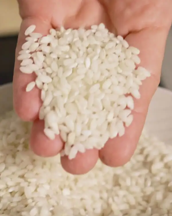 #1 Choosing Your Risotto Rice