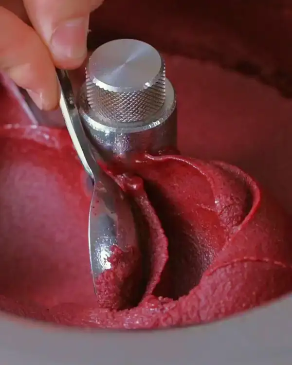 #6 Sorbet aux Myrtilles & Vin de Porto