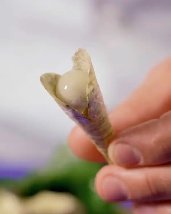 #4 Sustainable Sea Date with Oyster Mayonnaise Pearl