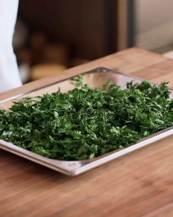 #1 Drying: Parsley