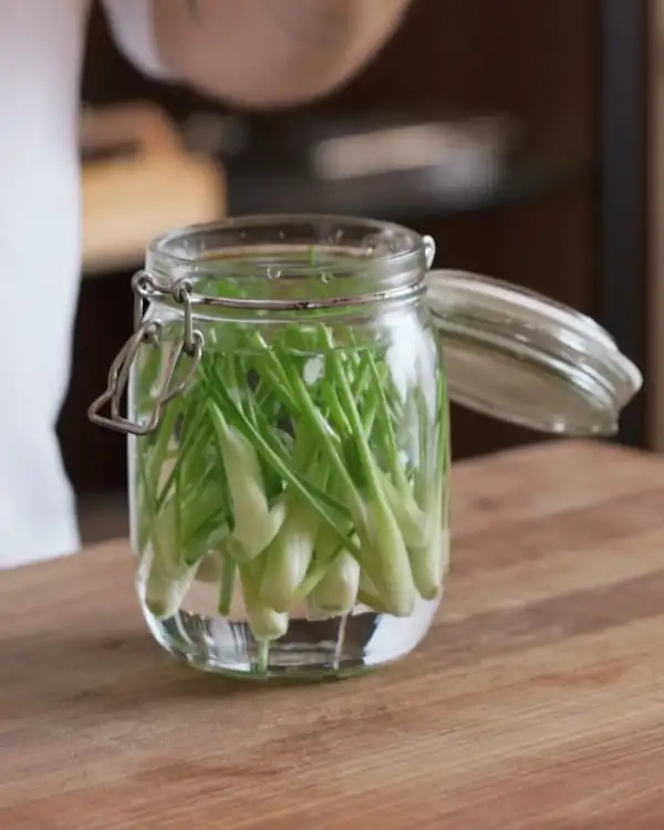 #8 Fermenting: Baby Fennel