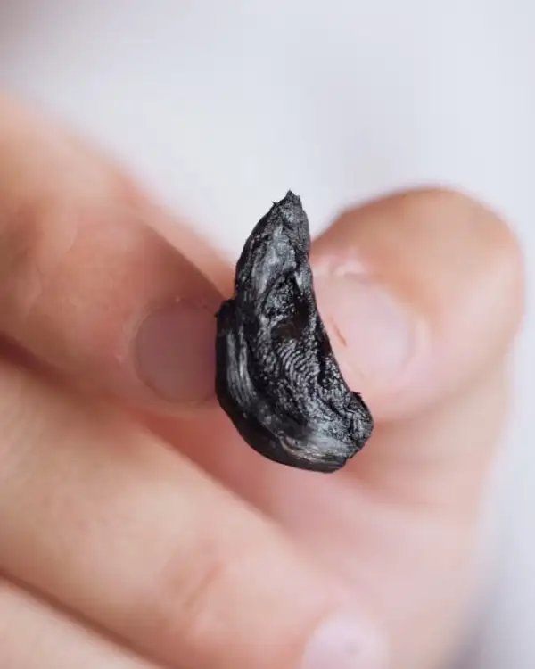 #9 Fermenting: Black Garlic