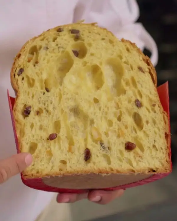 #7 Klassischer Panettone: Formen & Backen (Gewinner 2024)