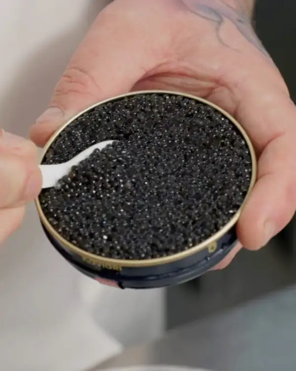 #1 Introduction to Caviar