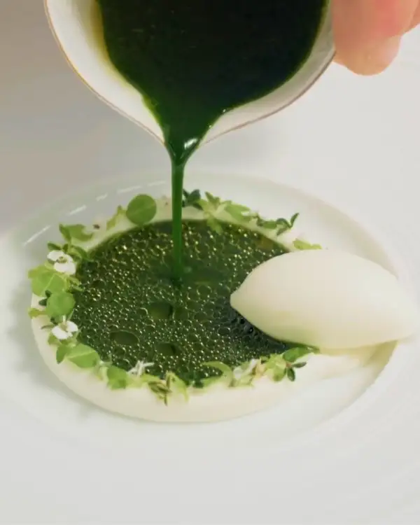 BONUS: Sheep Milk Sorbet with Sheep Sorrel Sauce