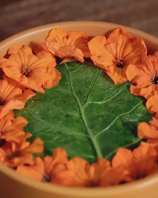 #7 Lamm Marmaón mit Sonnenblumenkernen & Suero