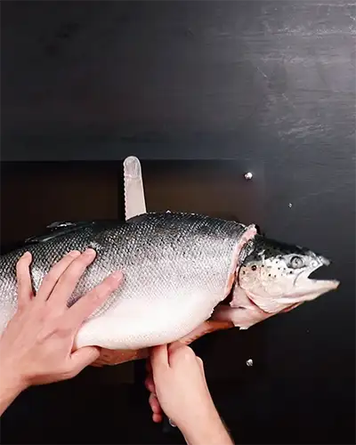 #1: Fillet a salmon