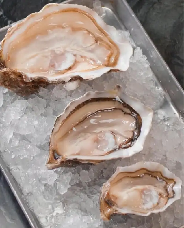 #3: Shucking Oysters
