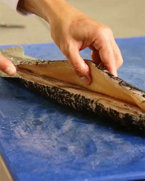 #2 Pike - Deboning & Cutting