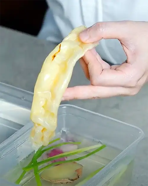 #2 Dried Fish Maw