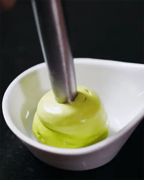 #2 Codium Seaweed Foam