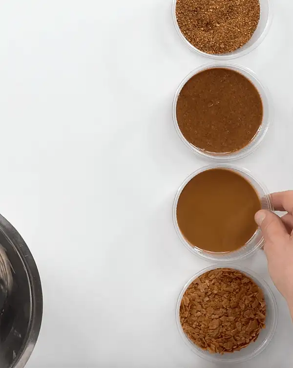 #11: Crispy Praline
