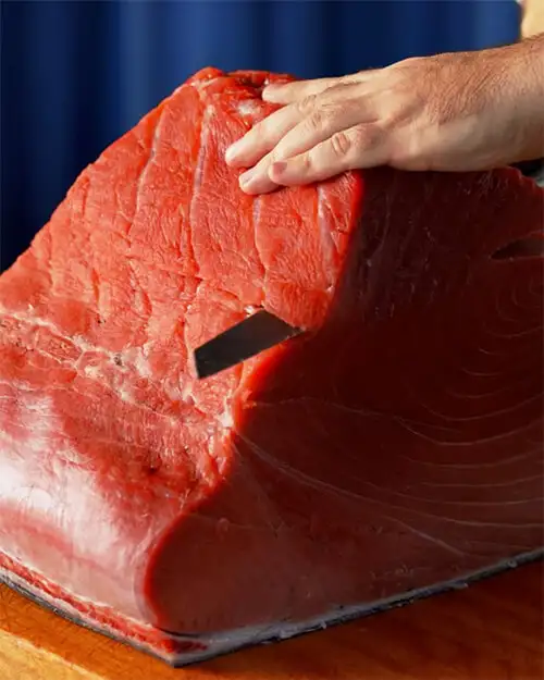 #2 Tuna Loin Intro & Cutting 