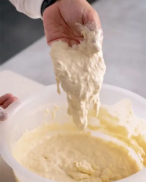 #2 Poolish 101