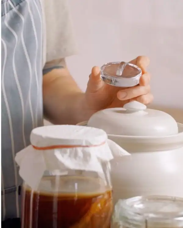 #1 Fermentation 101