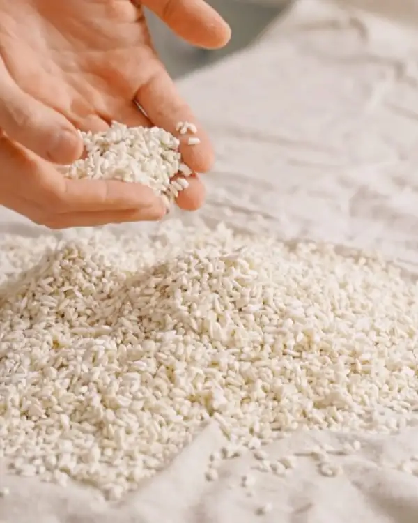 #6 Rice Koji - Part 2