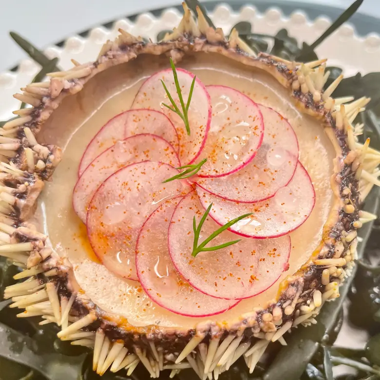 creation thumb for Panna Cotta de Erizo de Mar 🔥⭐️