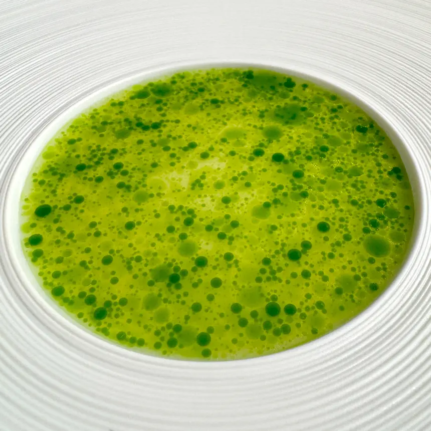 creation thumb for Apfel-Sellerie-Vinaigrette & Dillöl