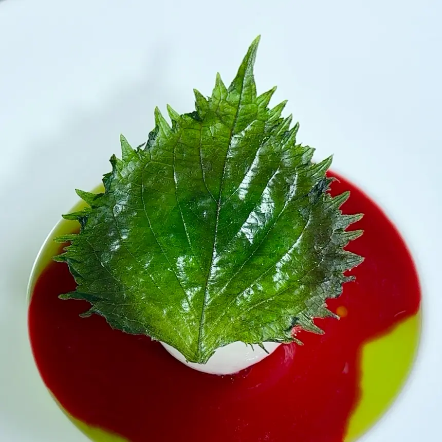 creation thumb for Shiso, Buttermilk & Raspberry Dessert