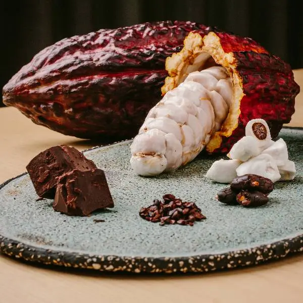creation thumb for MONO’s homemade chocolate
