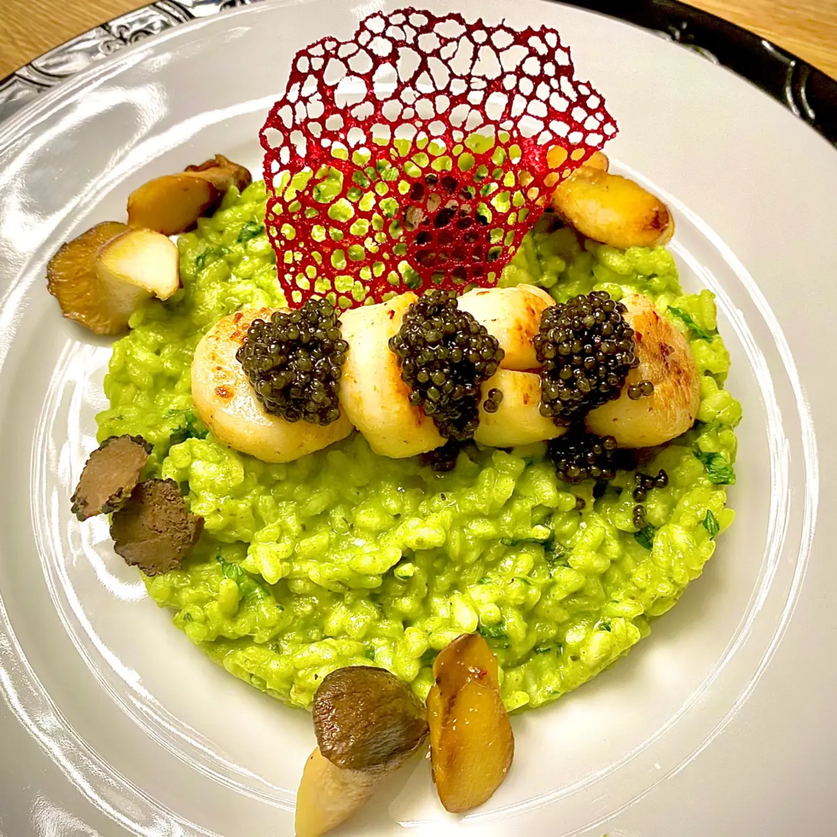 creation thumb for Basilikumrisotto I Jacobsmuscheln I Kräutersaitlinge I Belugalinsen Caviar