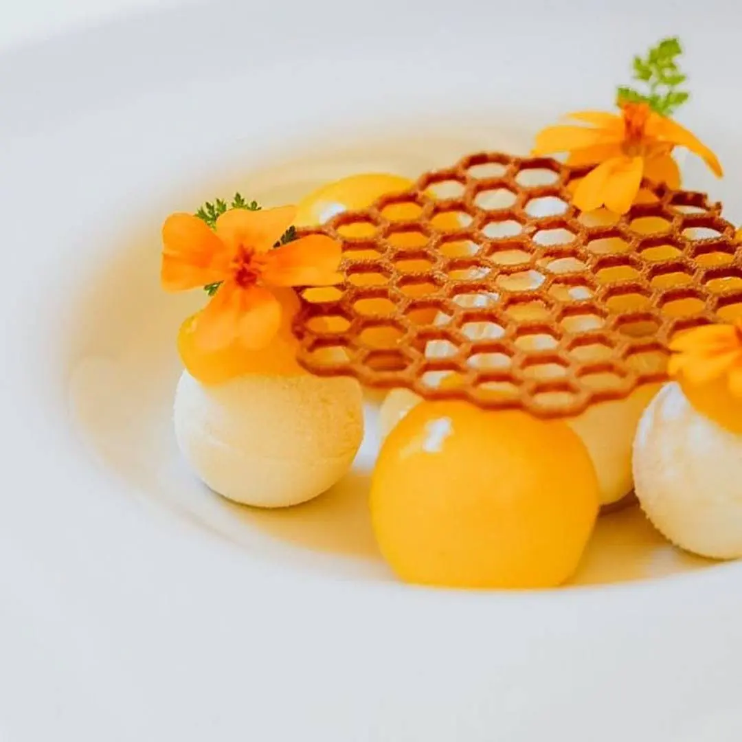 creation thumb for Elderberry | Honey | Tangerine