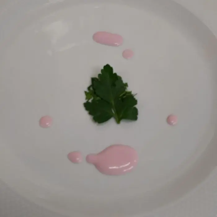 creation thumb for Blattpetersilie mit Rote-beete dressing
