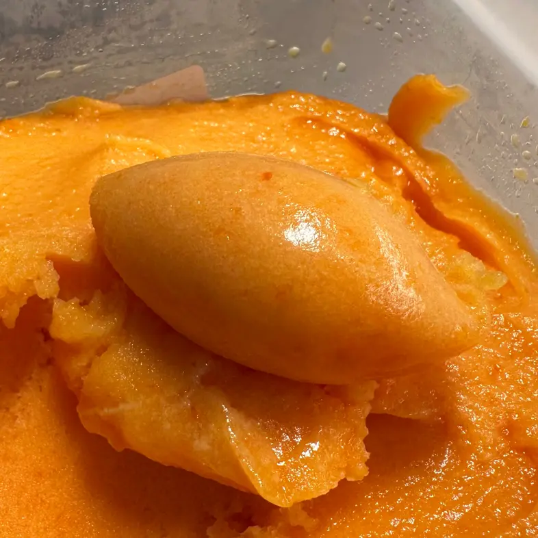 creation thumb for Orange sorbet with sorbet base