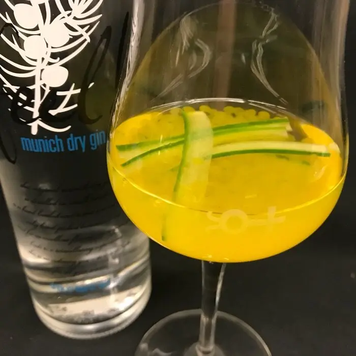 creation thumb for Gin Tonic