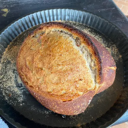 creation thumb for Sourdough bread