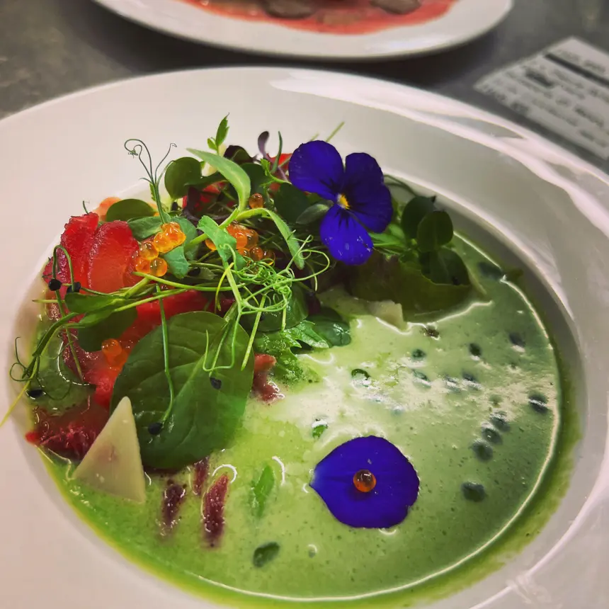 creation thumb for Ceviche, Avocado - Cucumber gazpacho