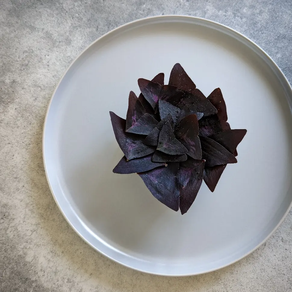 creation thumb for Beet Tartare