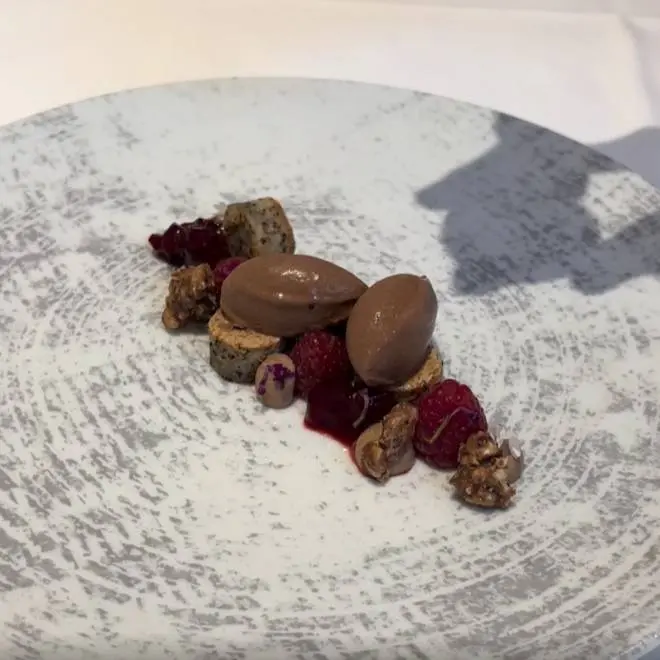 creation thumb for Vegan Chocolate Ice Cream