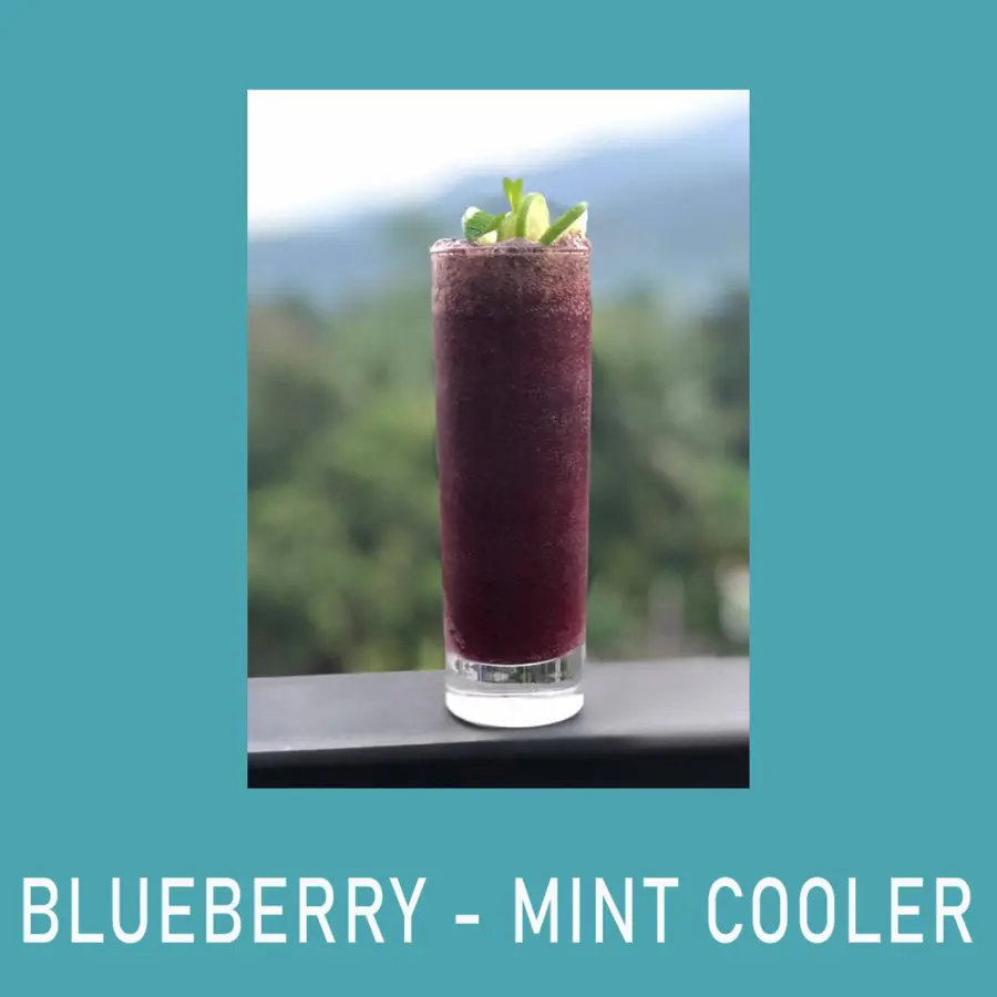 creation thumb for BLUEBERRY MINT COOLER