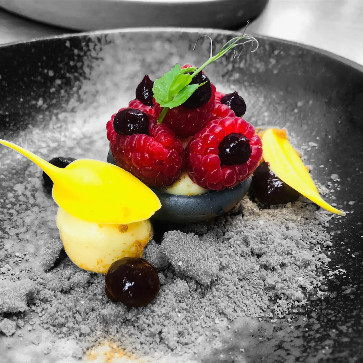 creation thumb for Black sesame pavlova/ raspberry, chocolate soil