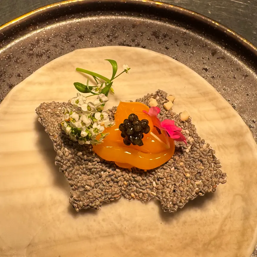 creation thumb for Crispy chia seed