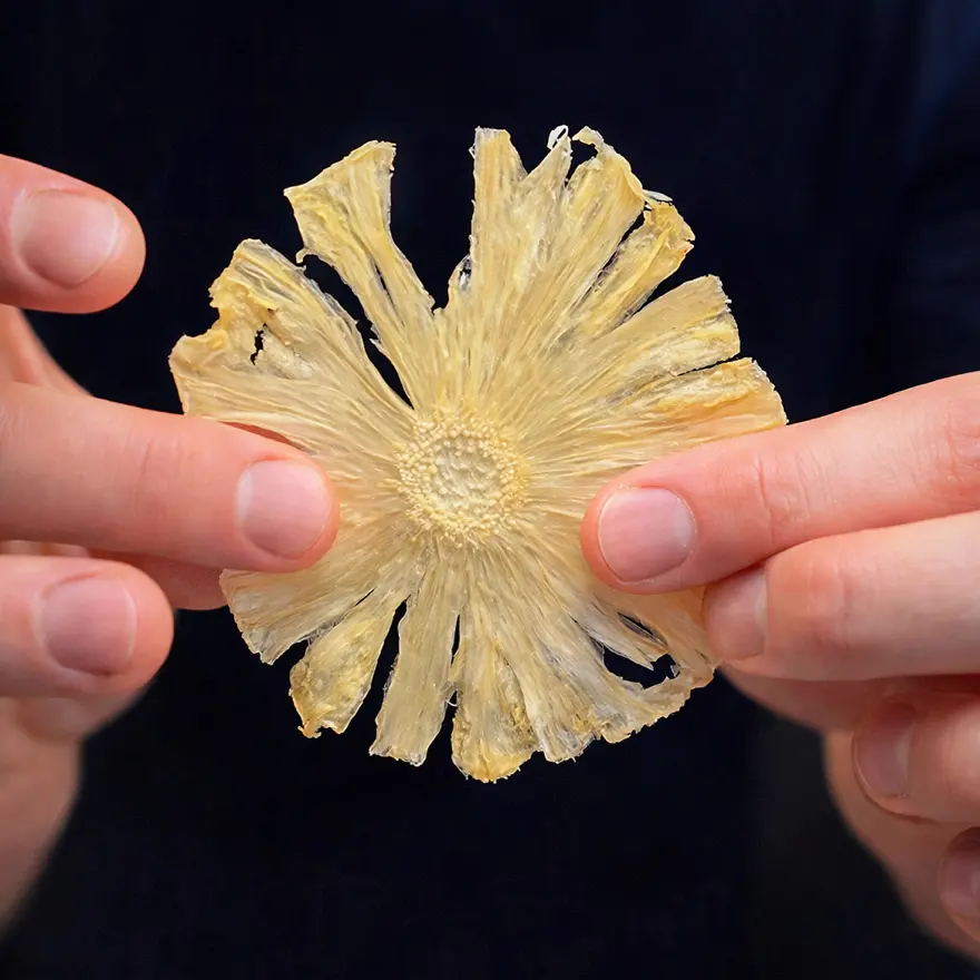 creation thumb for Crispy Pineapple Chips