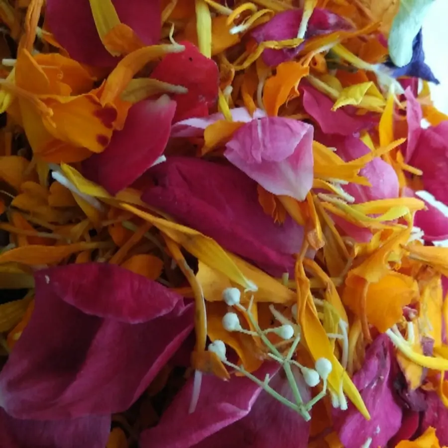 creation thumb for Flowers
