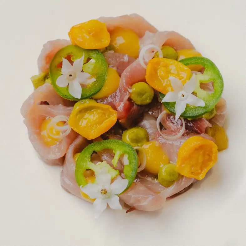creation thumb for ITALIAN CEVICHE