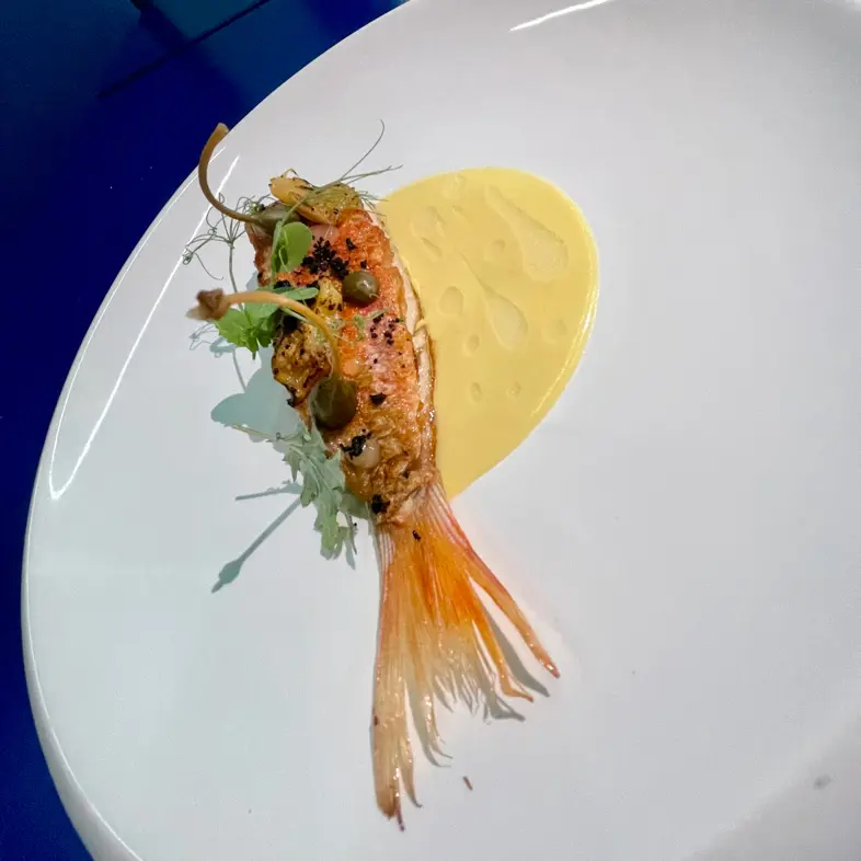 creation thumb for Mediterranean mullet