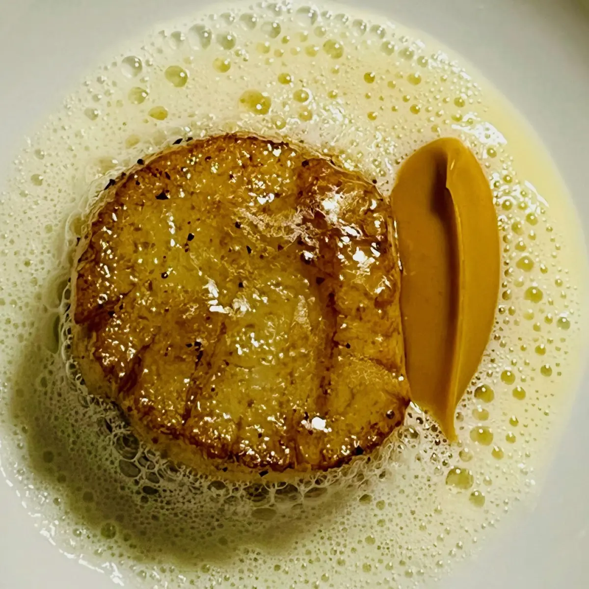 creation thumb for Scallops,sake,lemongras,fermented tomato miso pure