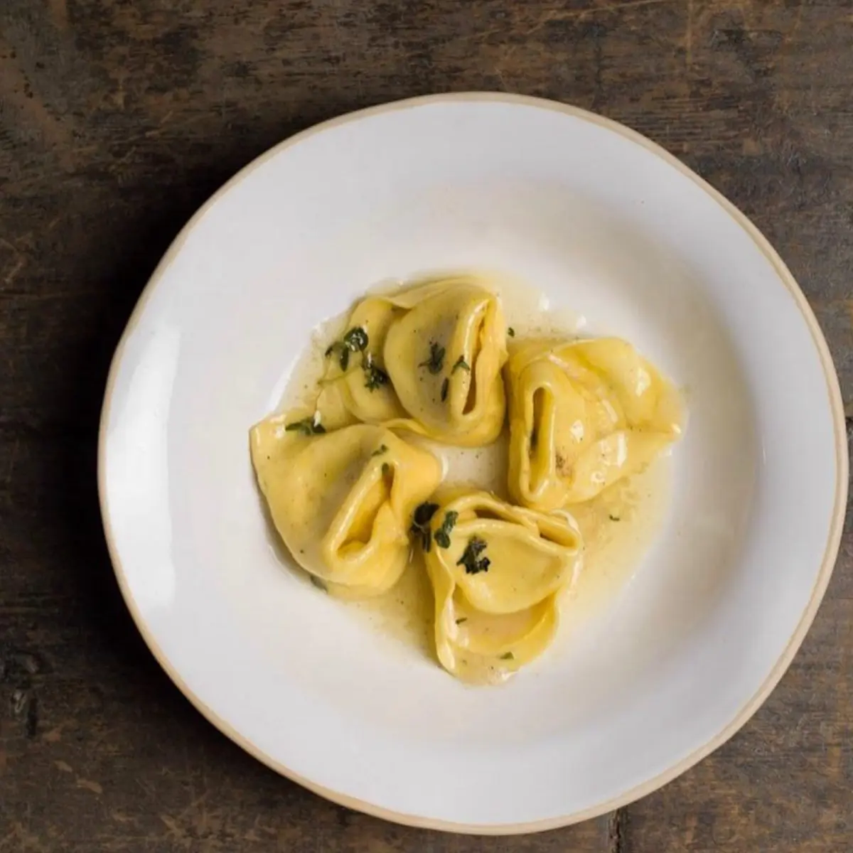 creation thumb for Tortelloni filled with pumpkin,nutty butter and sage.