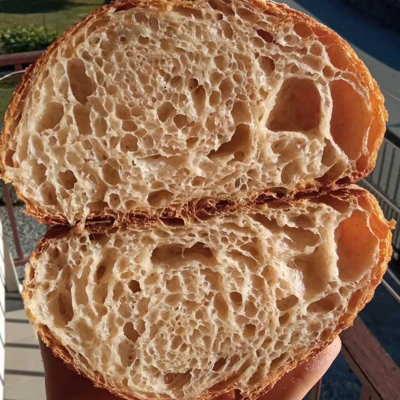 creation thumb for SOURDOUGH- white rye and raw honey