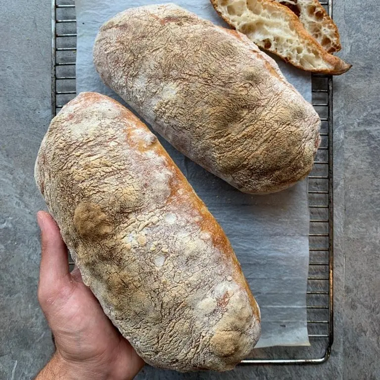 creation thumb for Pain Ciabatta