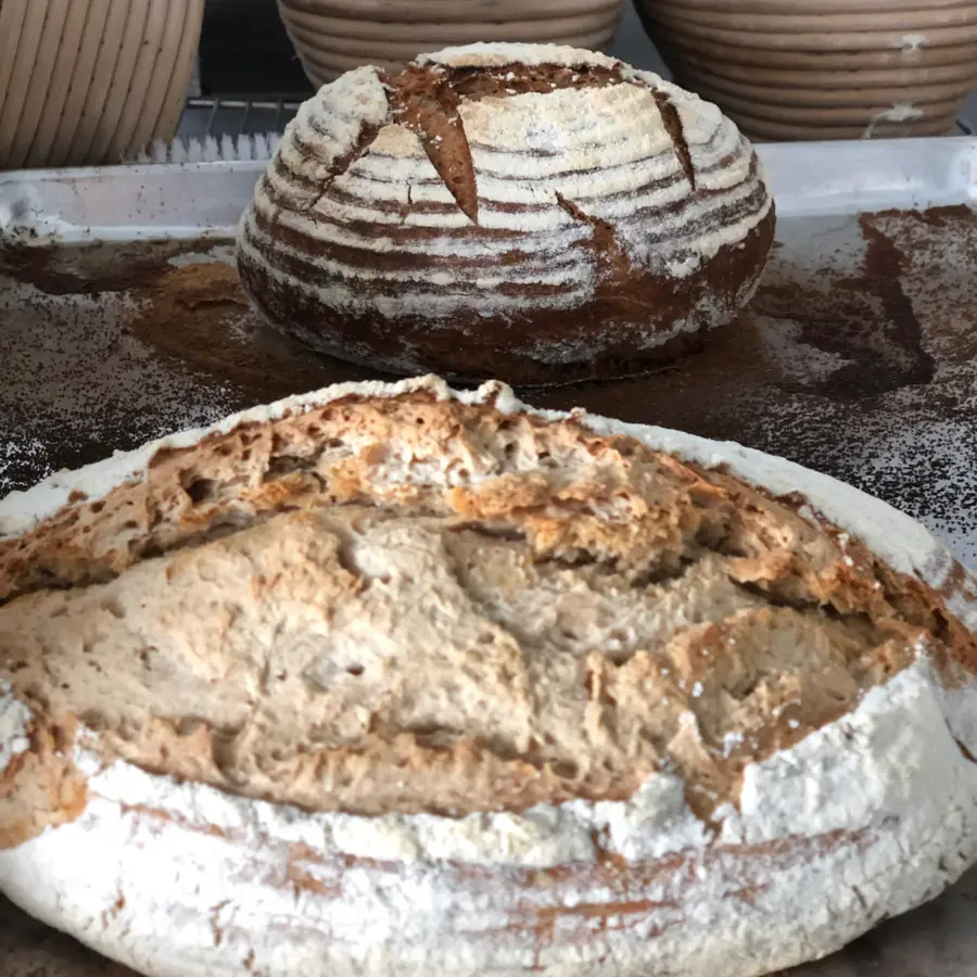 creation thumb for Muktigrain & Sourdough loaves