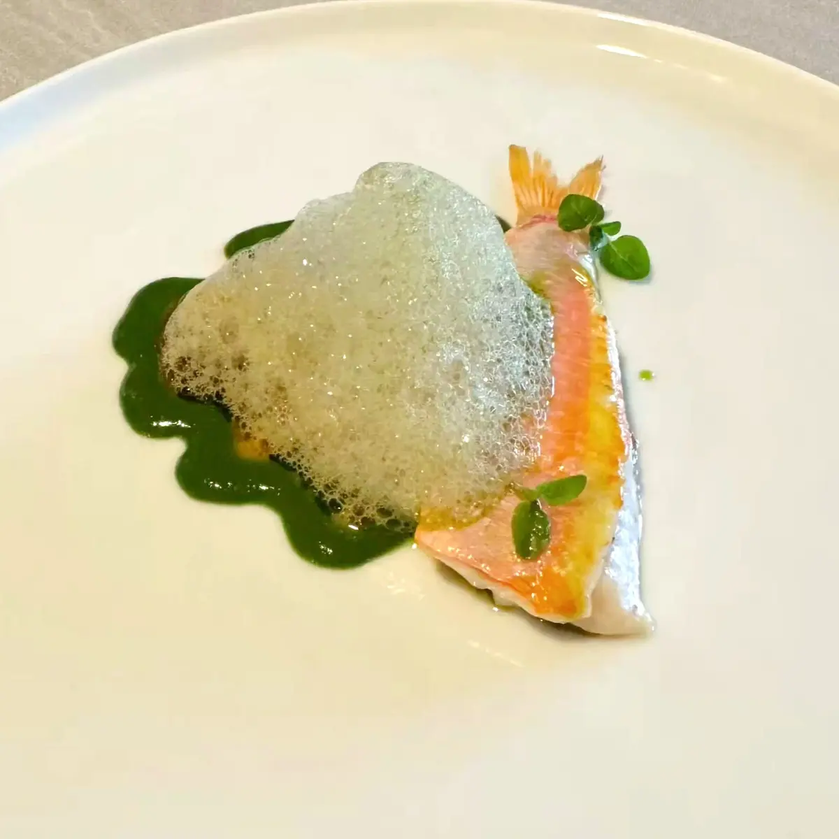 creation thumb for Red Mullet with Mediterranean Sauce and Matcha Air