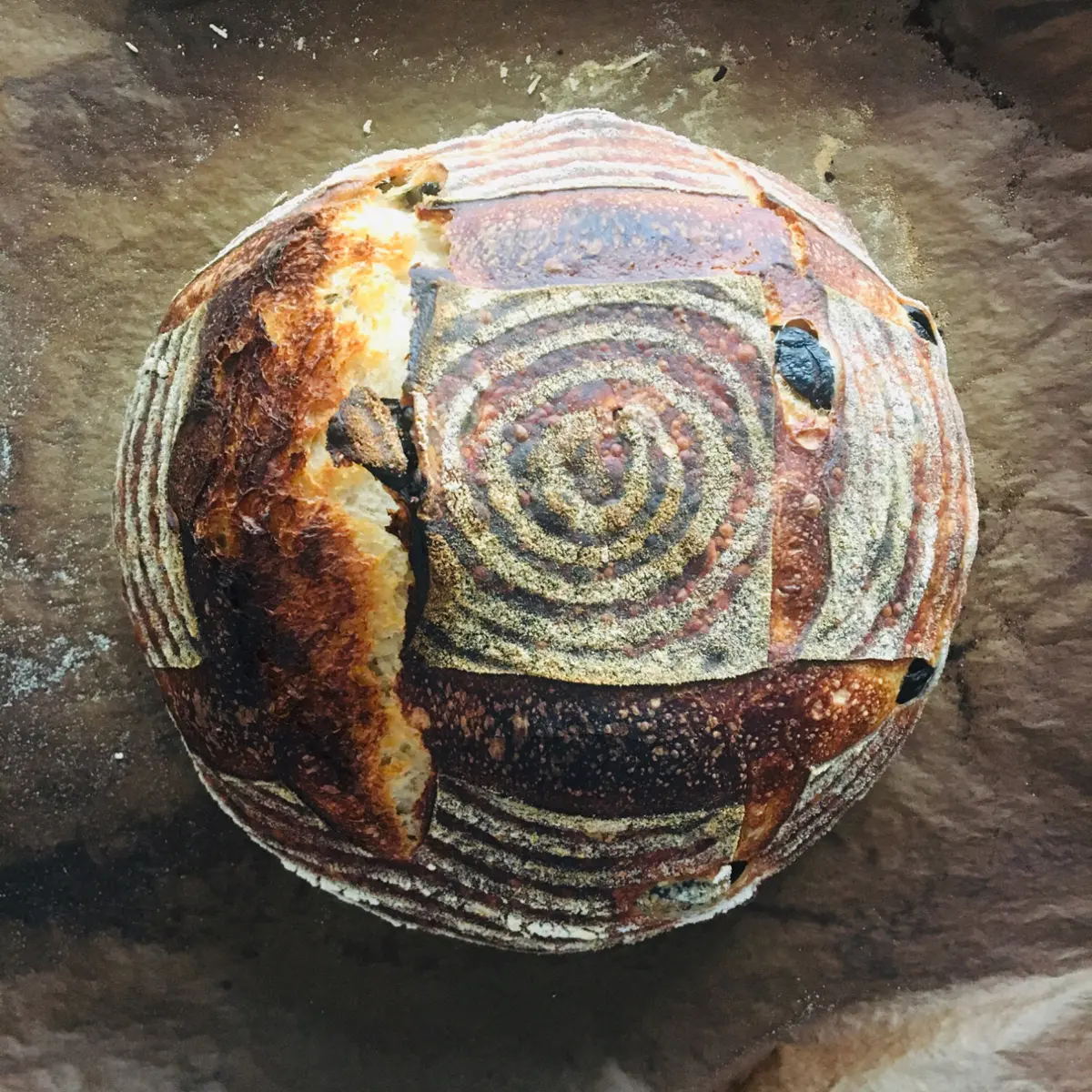 creation thumb for Sourdough bread with Olives