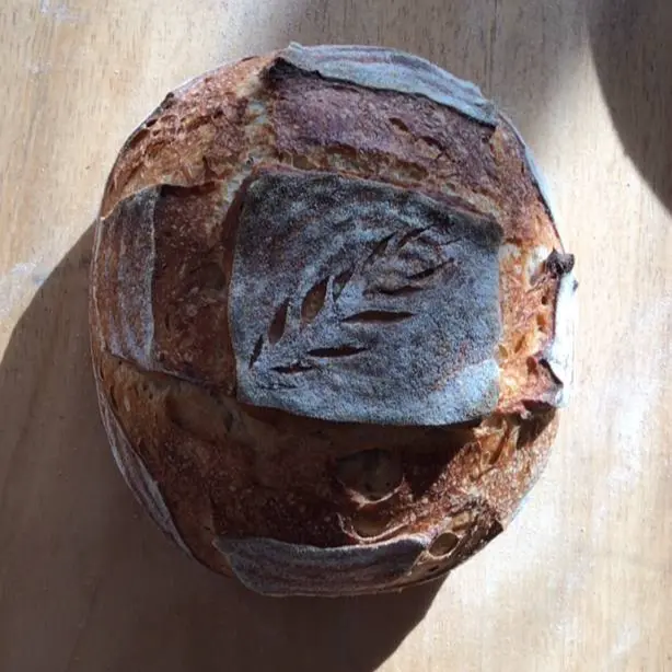 creation thumb for Sourdough Bread